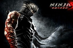 忍者龙剑传3中文版，直接玩