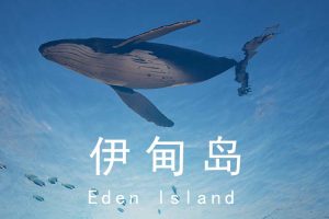 伊甸岛（Eden lsland）中文版，直接玩