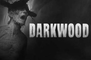 阴暗森林中文版